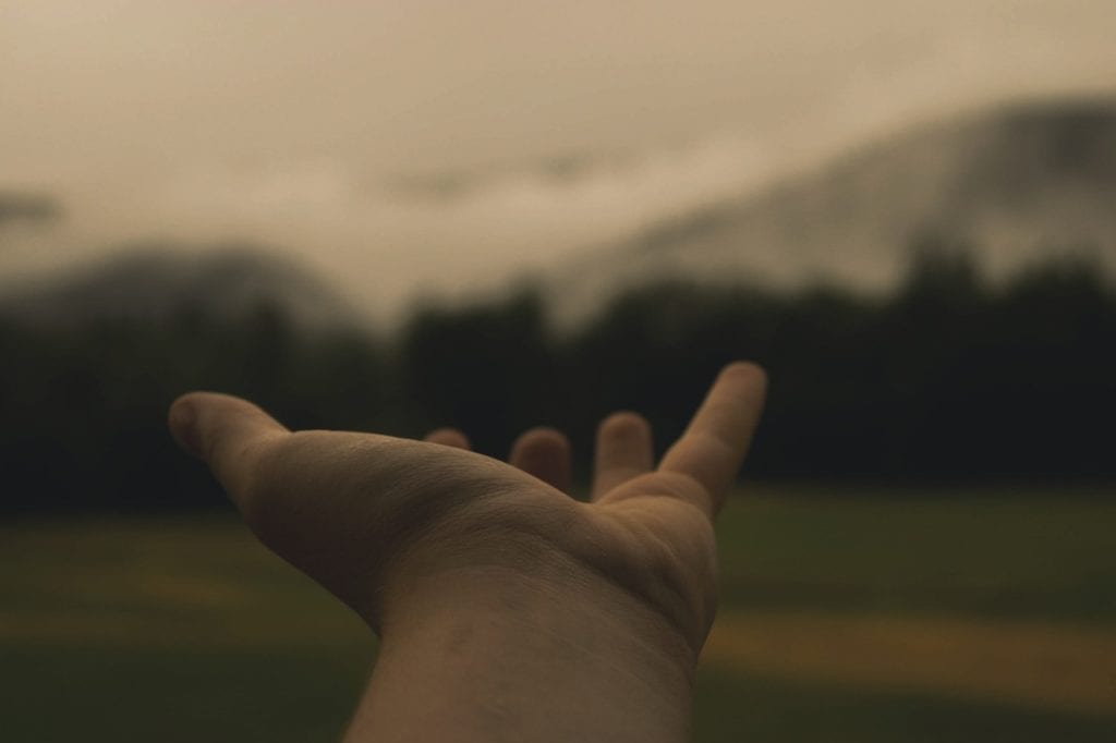 Hand held out, palm up, in front of a blurred picture of trees and a mountain